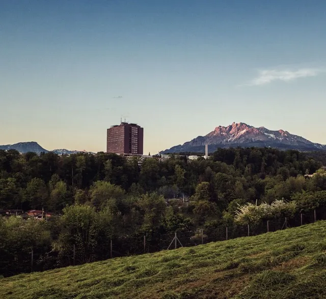 luksonthehill Medium